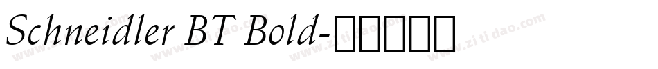 Schneidler BT Bold字体转换